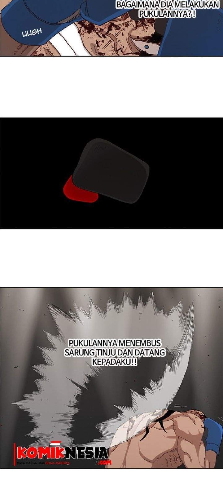 The Boxer Chapter 16 Gambar 16