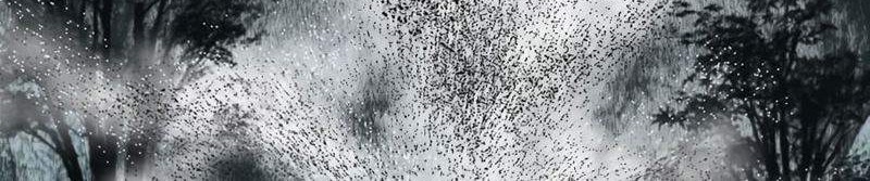 Escort Warrior Chapter 30 Gambar 25