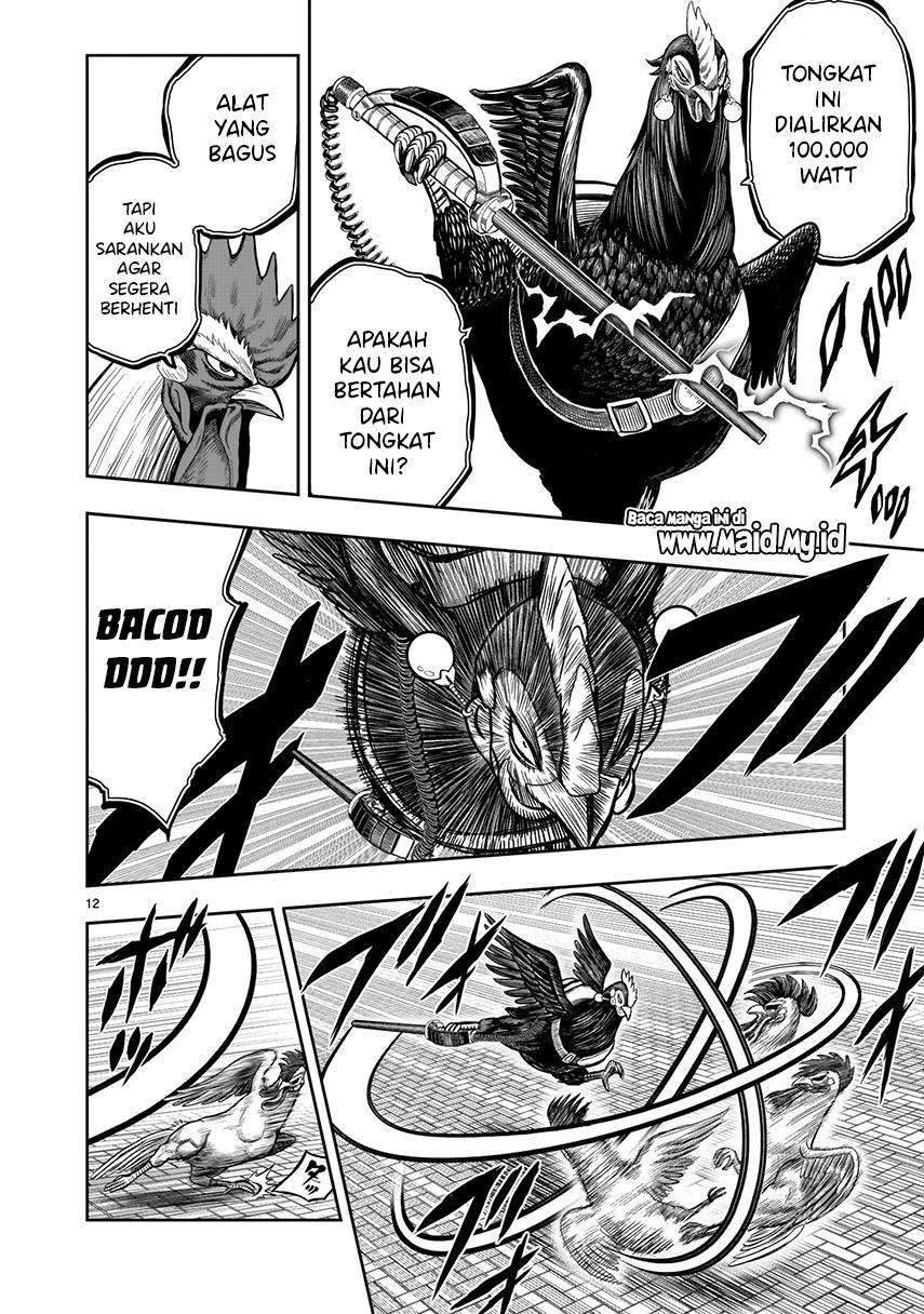 Rooster Fighter Chapter 7 Gambar 14