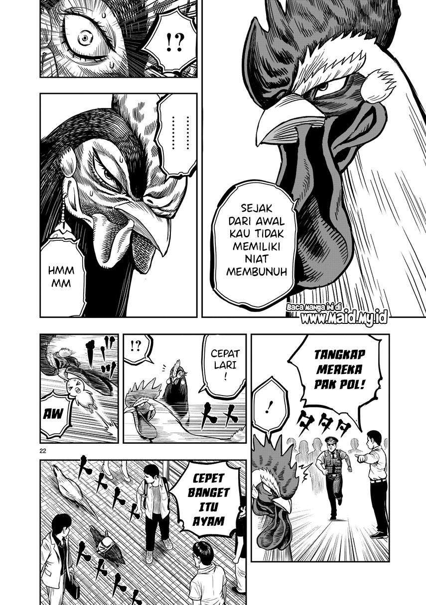 Rooster Fighter Chapter 7 Gambar 24
