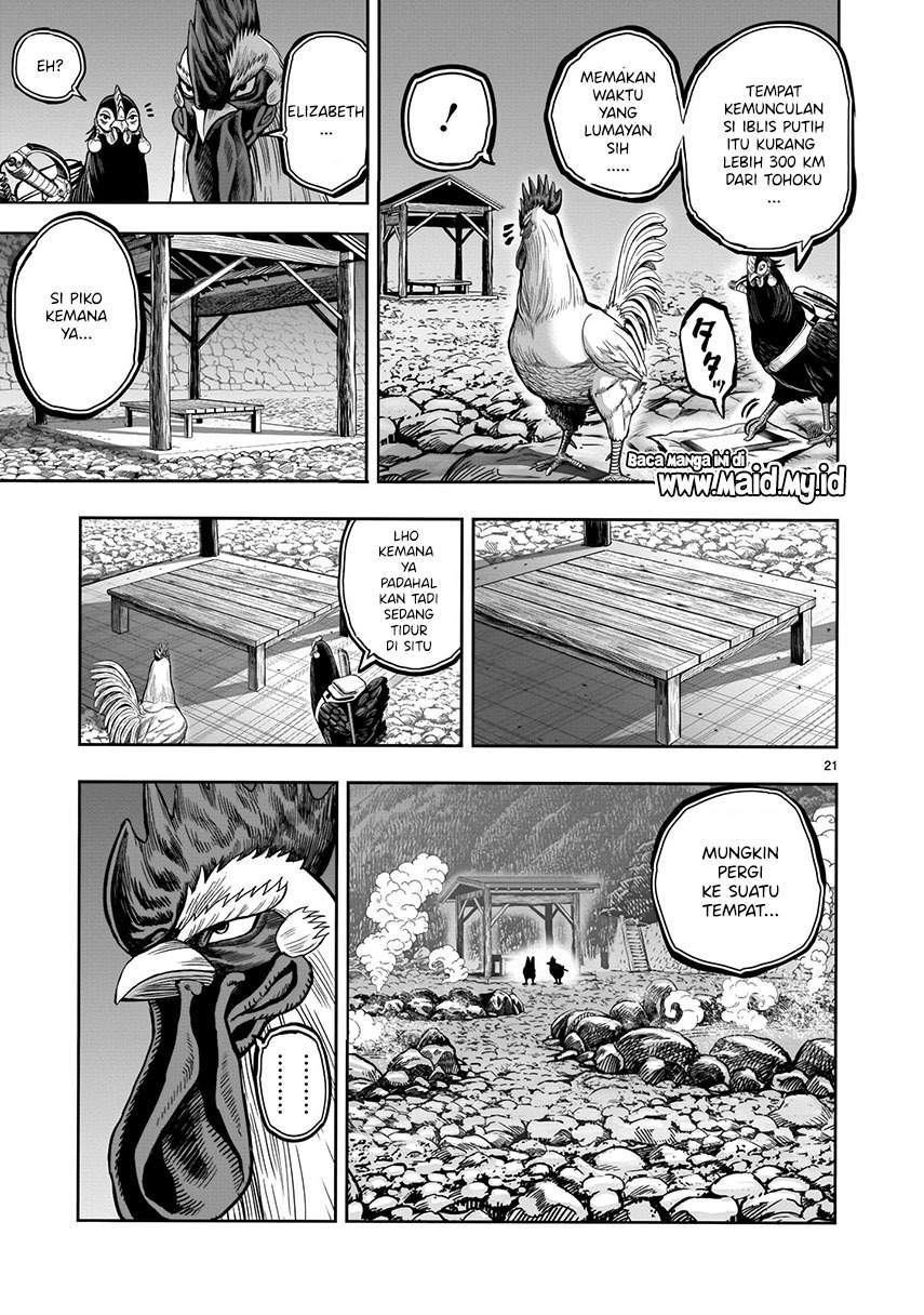 Rooster Fighter Chapter 8 Gambar 23