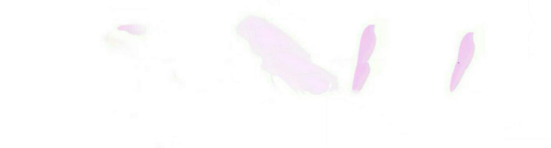 I Became The Emperor’s Daughter One Day Chapter 14 Gambar 4