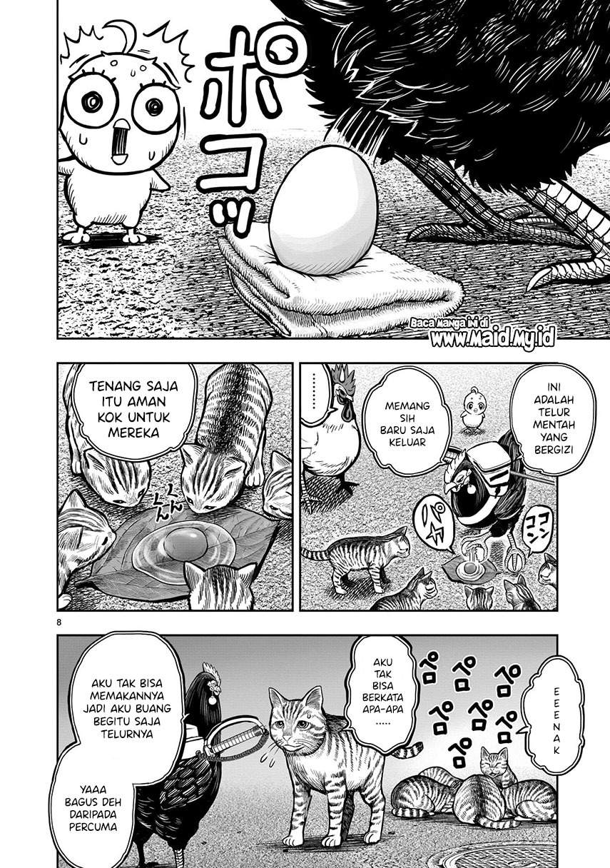 Rooster Fighter Chapter 09 Gambar 10