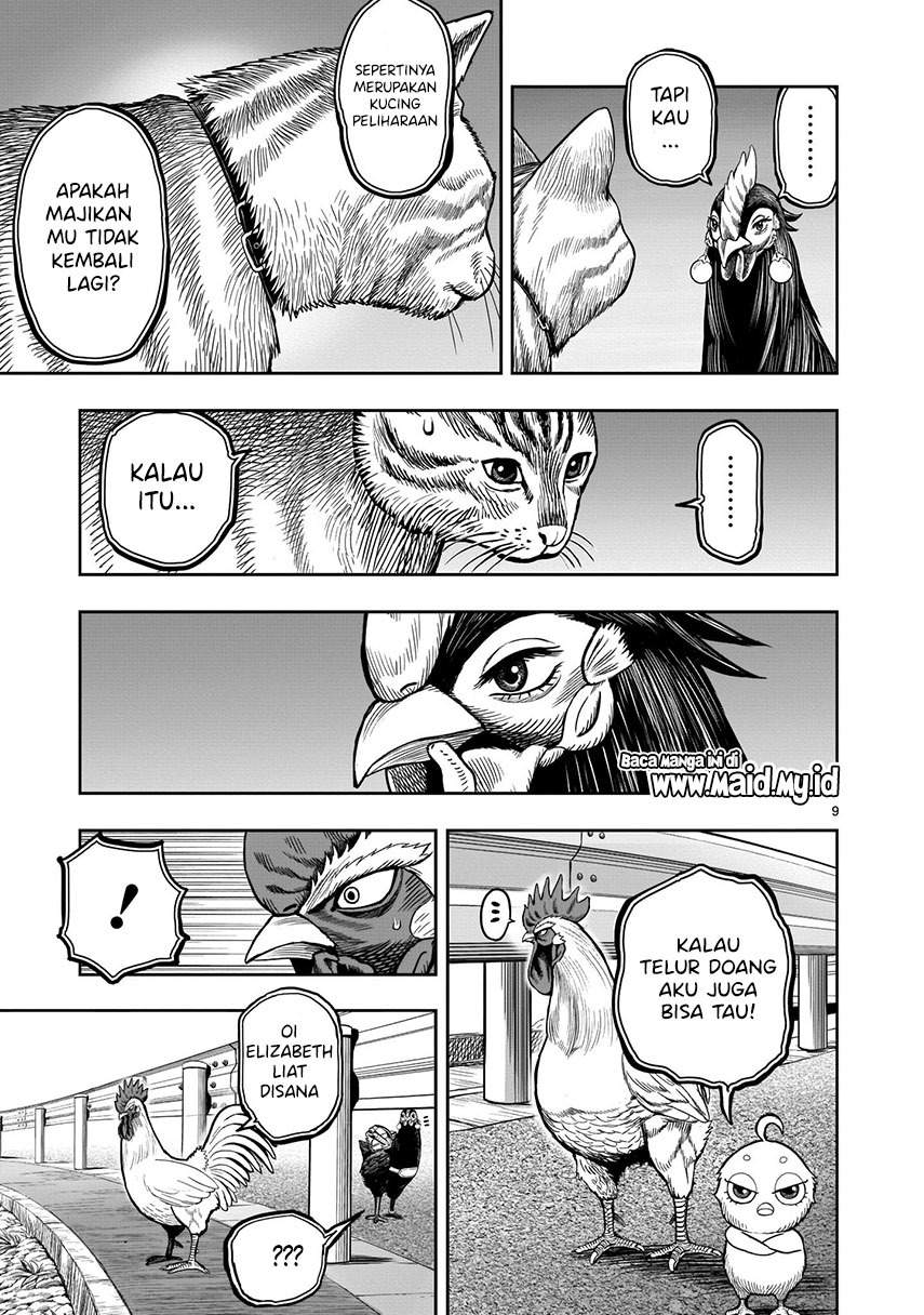 Rooster Fighter Chapter 09 Gambar 11