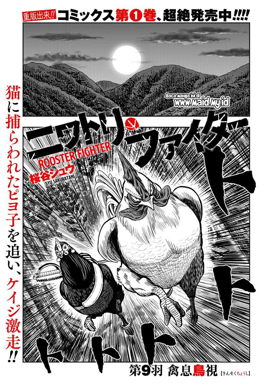 Rooster Fighter Chapter 09 Gambar 3