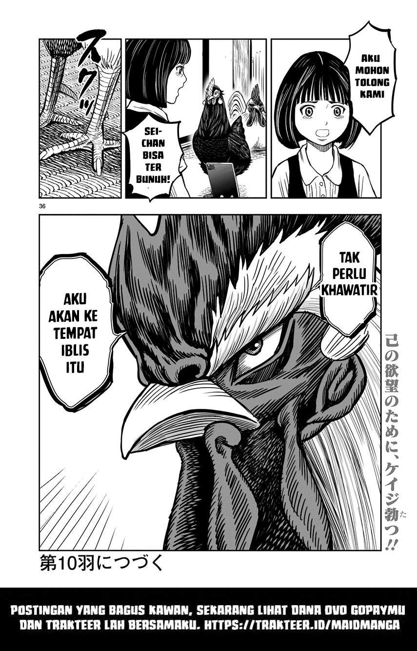 Rooster Fighter Chapter 09 Gambar 37