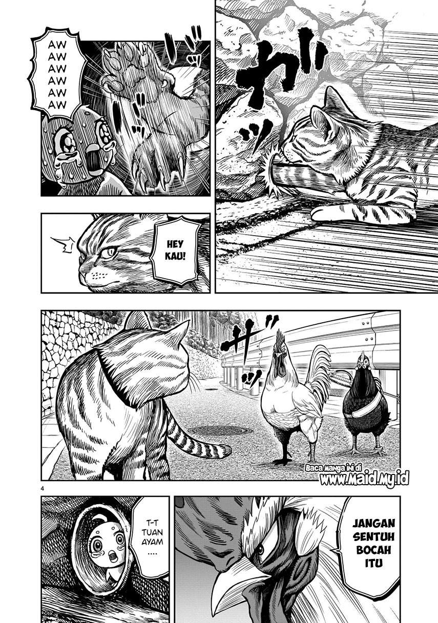 Rooster Fighter Chapter 09 Gambar 6