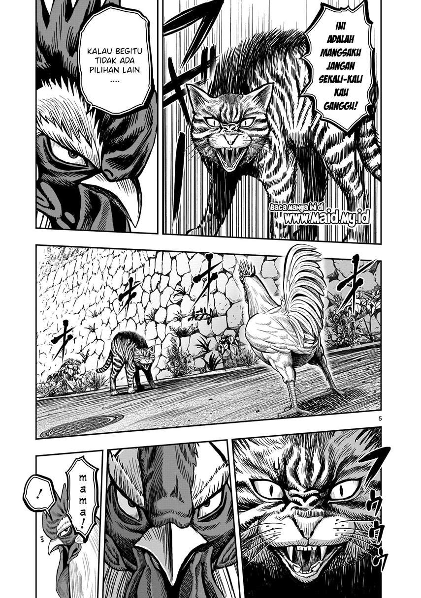 Rooster Fighter Chapter 09 Gambar 7