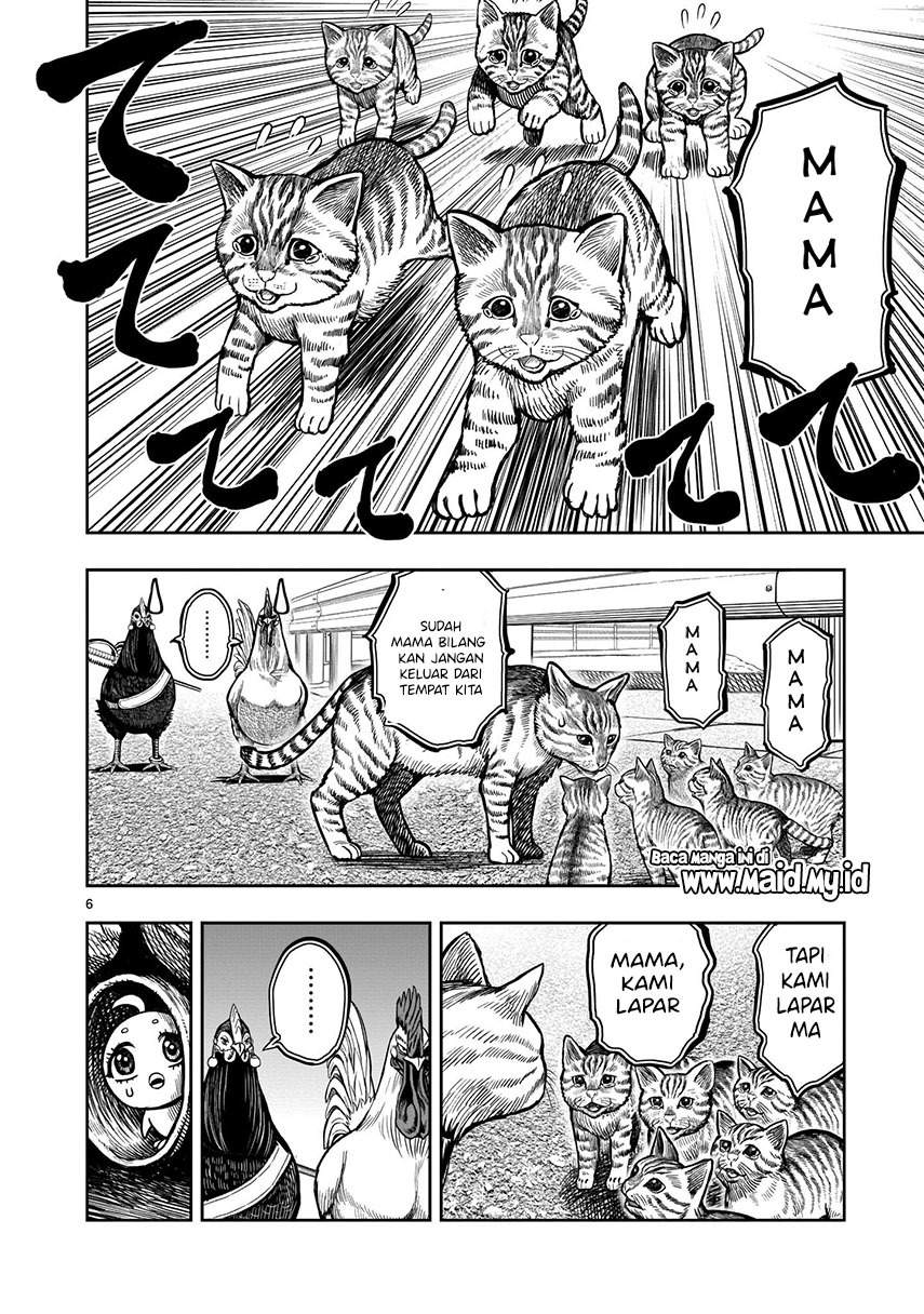 Rooster Fighter Chapter 09 Gambar 8