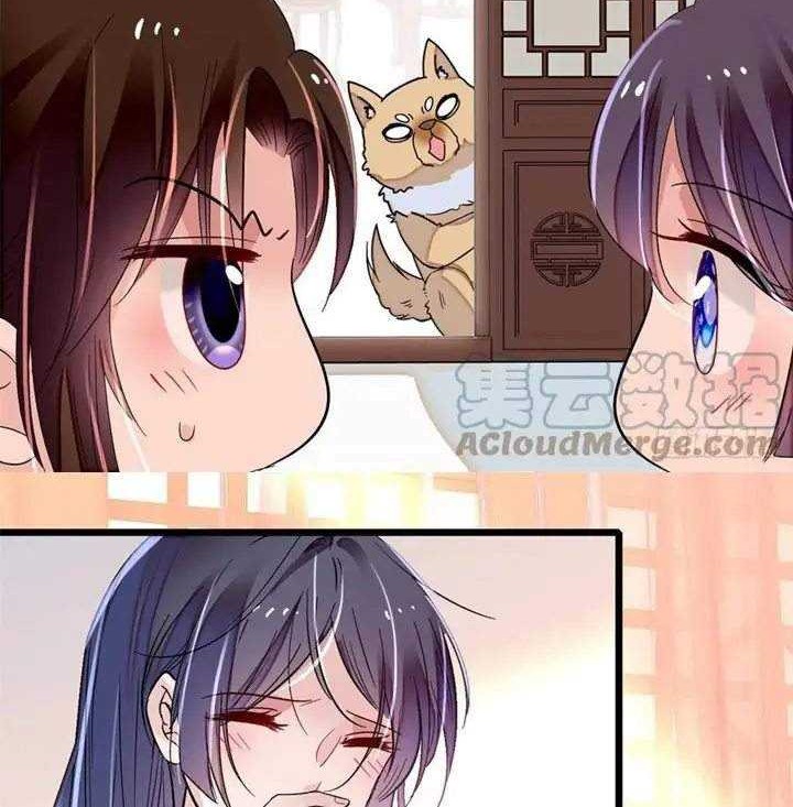 Sijin Chapter 167 Gambar 14