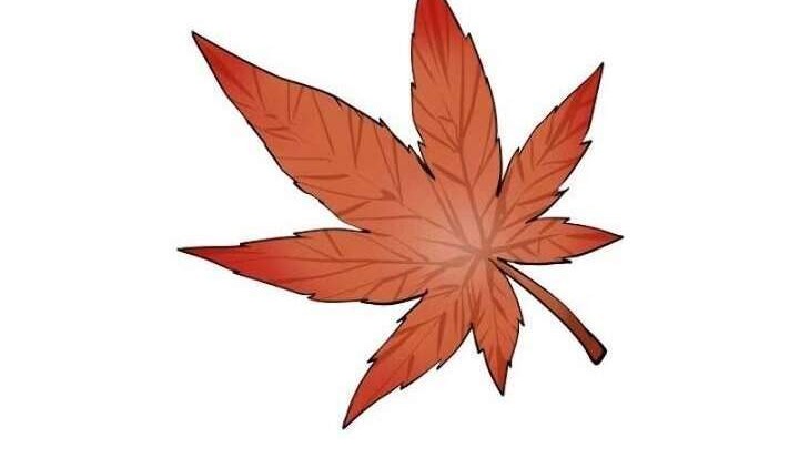 Volcanic Age Chapter 178 Gambar 24