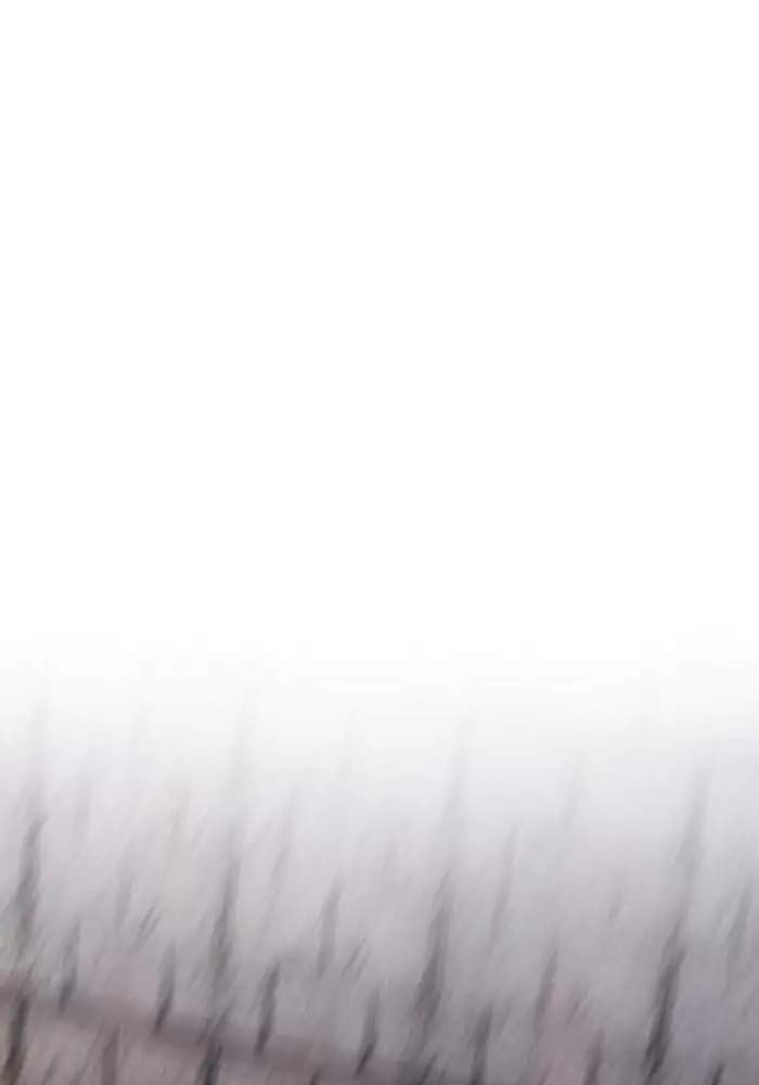 Wind Breaker Chapter 242 Gambar 91