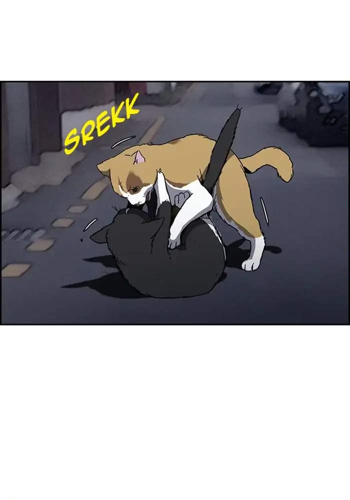 Manhwa Wind Breaker Chapter 237 gambar nomor 2