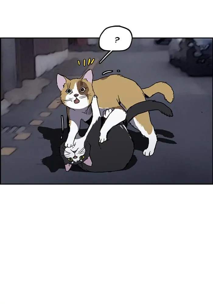 Wind Breaker Chapter 237 Gambar 3