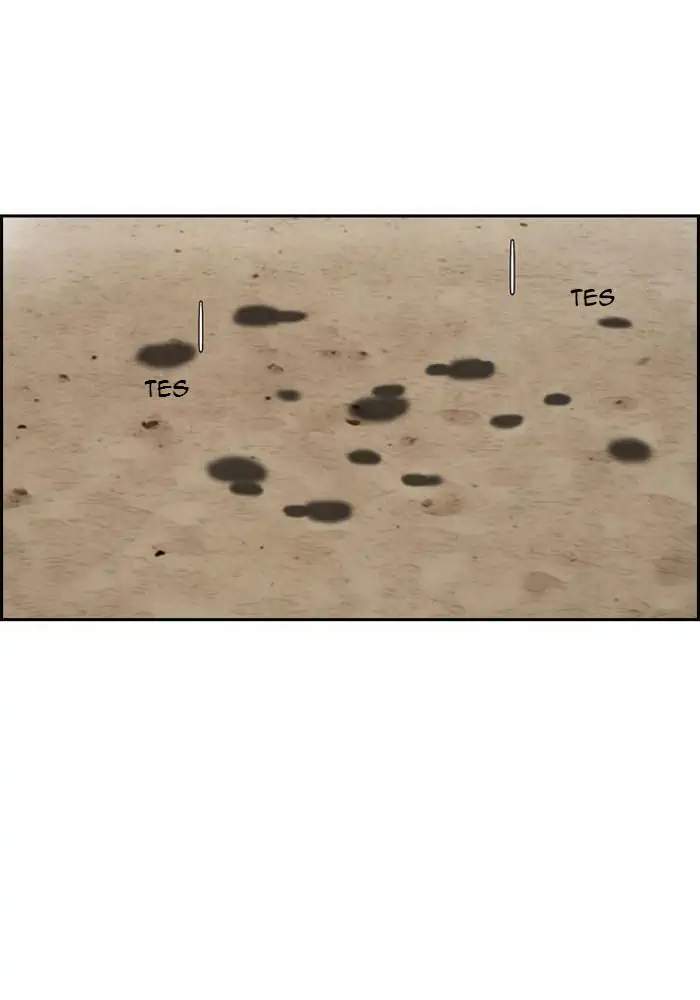 Manhwa Wind Breaker Chapter 222 gambar nomor 2