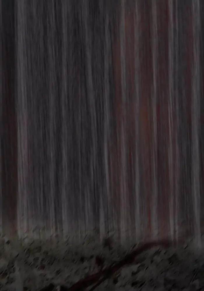 Wind Breaker Chapter 175 Gambar 13