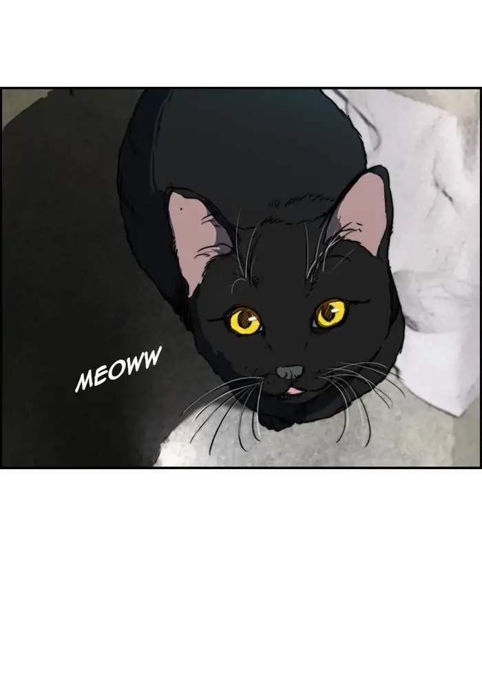 Wind Breaker Chapter 172 Gambar 68