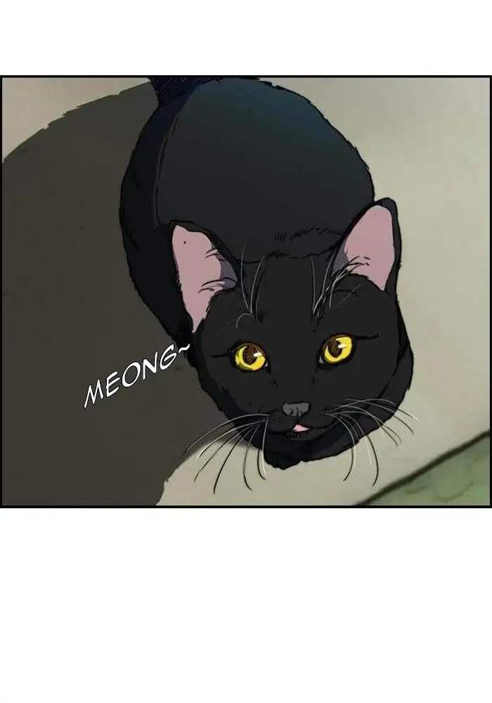 Wind Breaker Chapter 168 Gambar 28