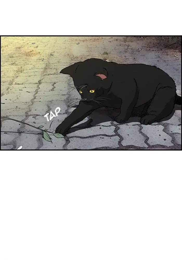 Wind Breaker Chapter 167 Gambar 45