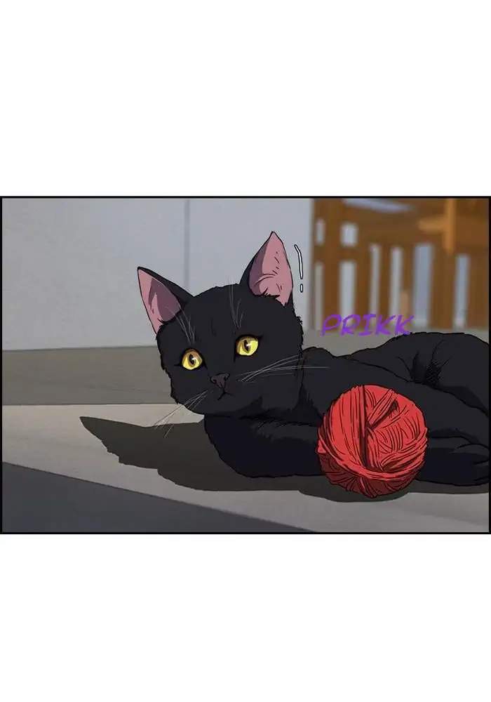 Wind Breaker Chapter 147 Gambar 47