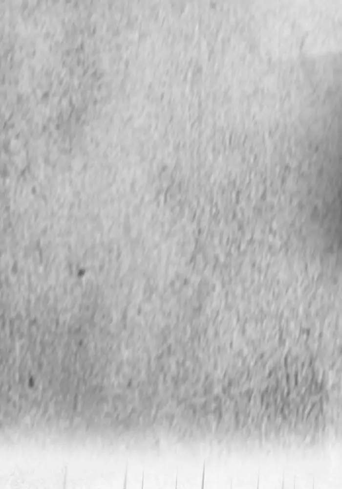 Wind Breaker Chapter 143 Gambar 56