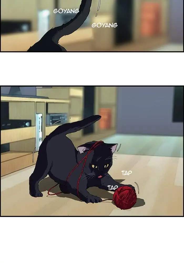 Wind Breaker Chapter 77 Gambar 38