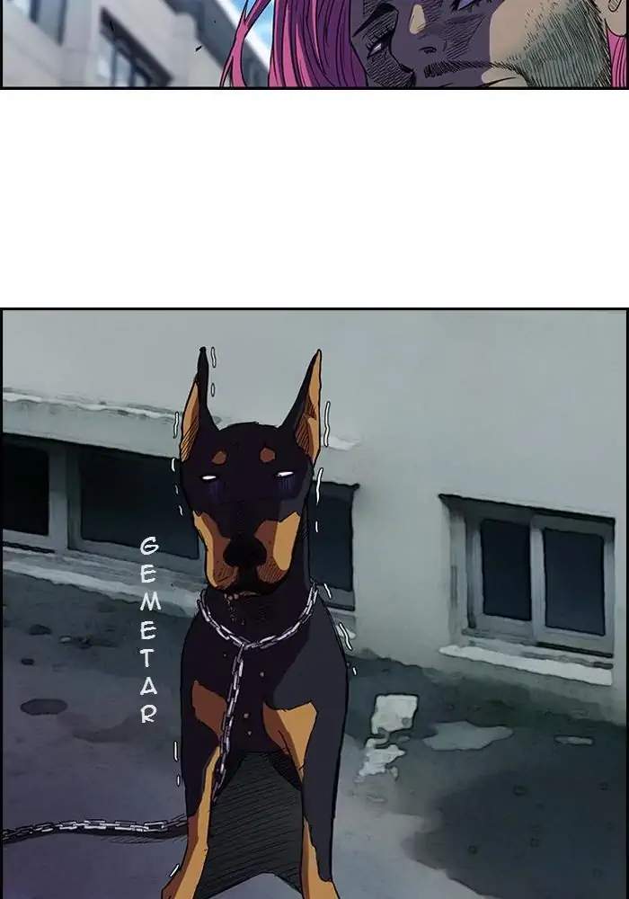 Wind Breaker Chapter 61 Gambar 37