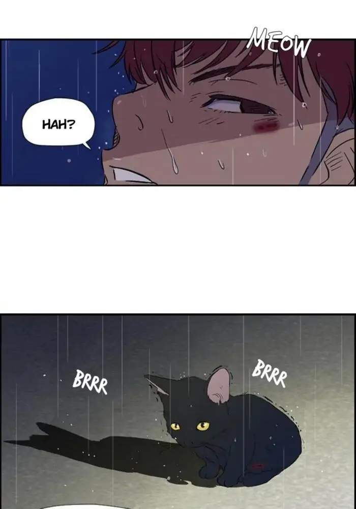 Wind Breaker Chapter 18 Gambar 34