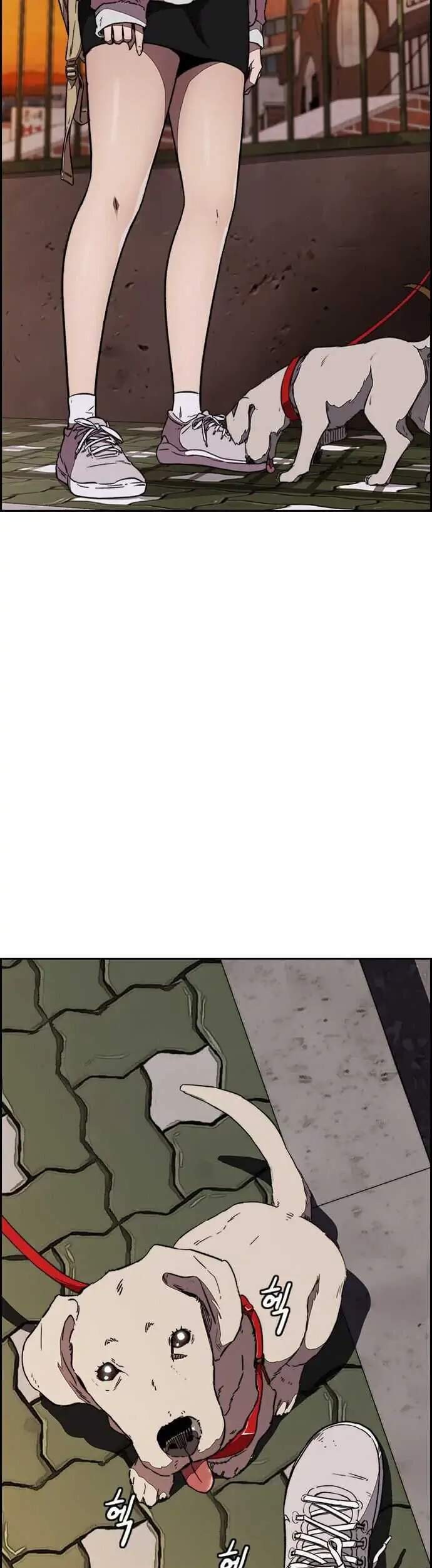 Wind Breaker Chapter 358 Gambar 40