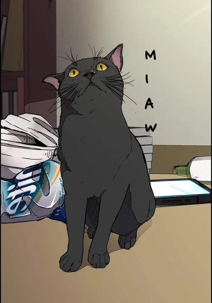 Wind Breaker Chapter 328 Gambar 68