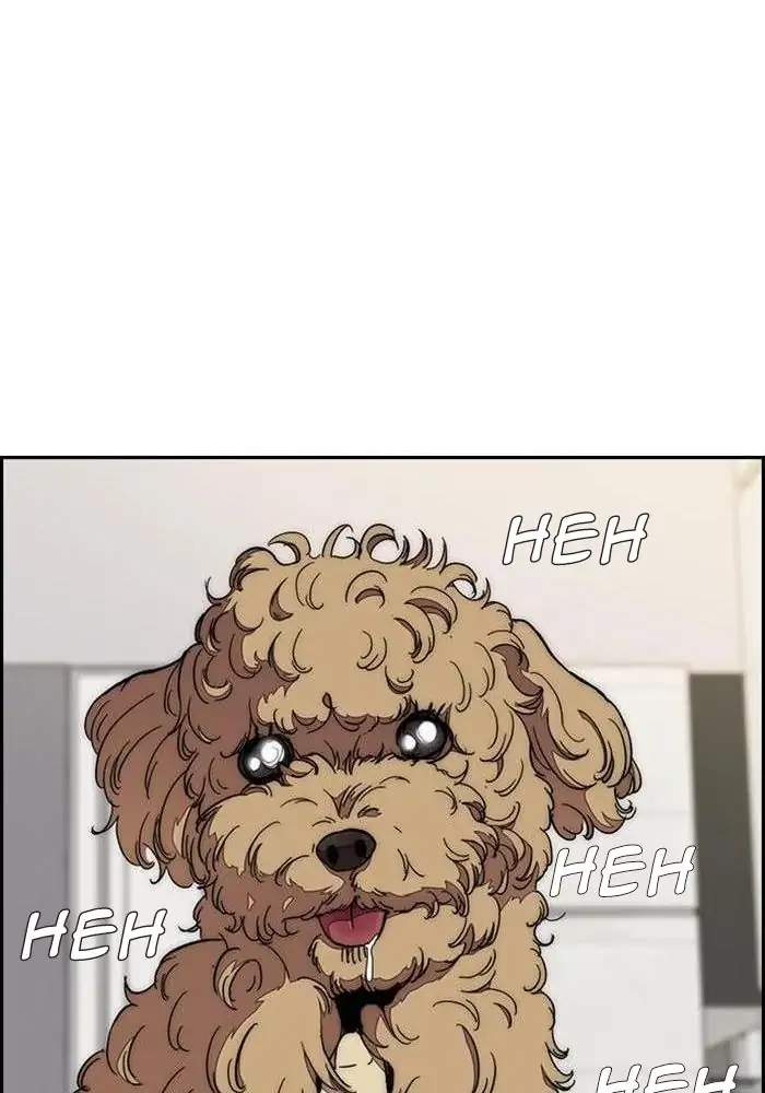 Wind Breaker Chapter 319 Gambar 100