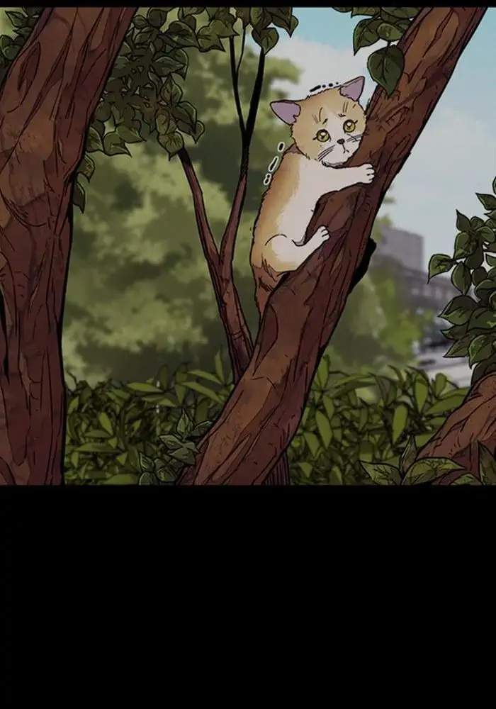 Wind Breaker Chapter 316 Gambar 37