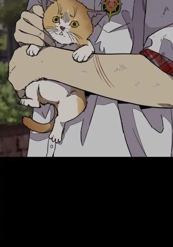 Wind Breaker Chapter 316 Gambar 78