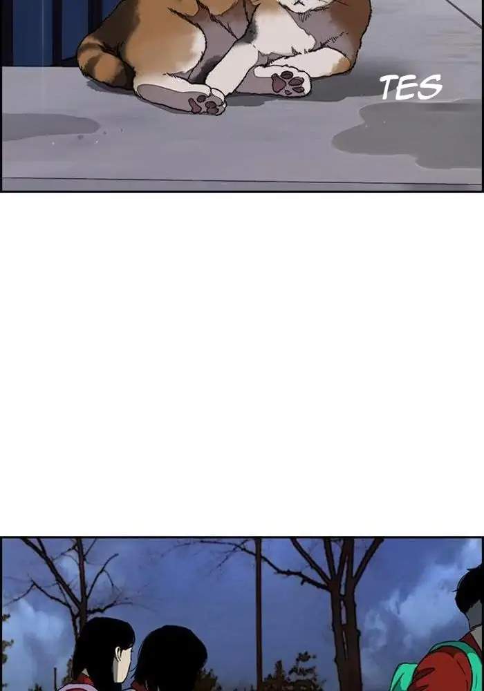 Wind Breaker Chapter 311 Gambar 110