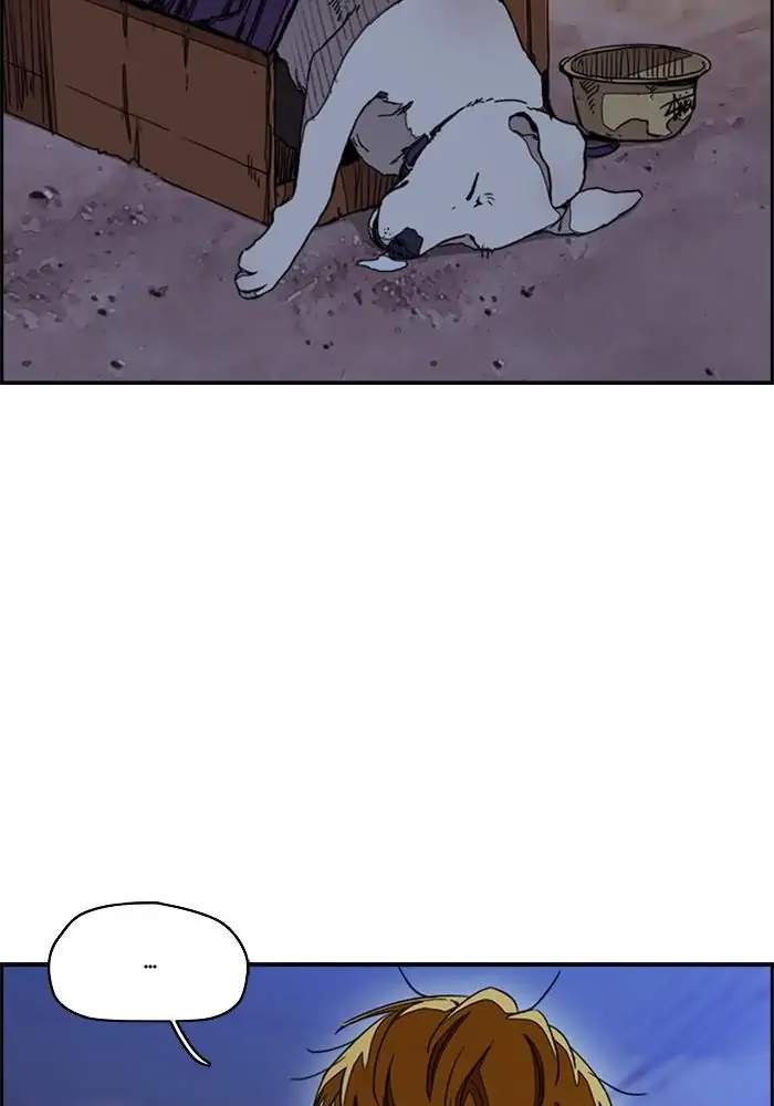 Wind Breaker Chapter 291 Gambar 33