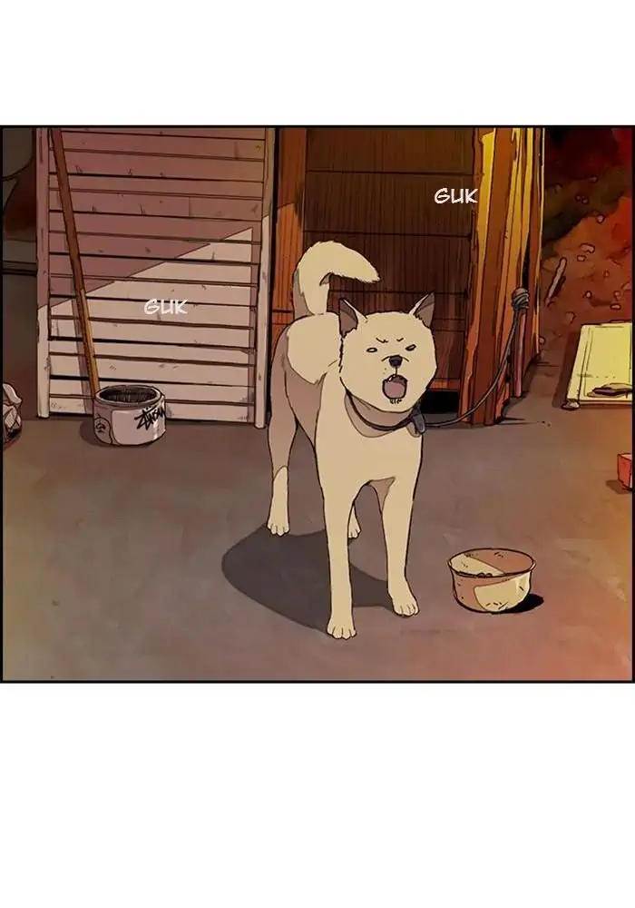 Wind Breaker Chapter 290 Gambar 19