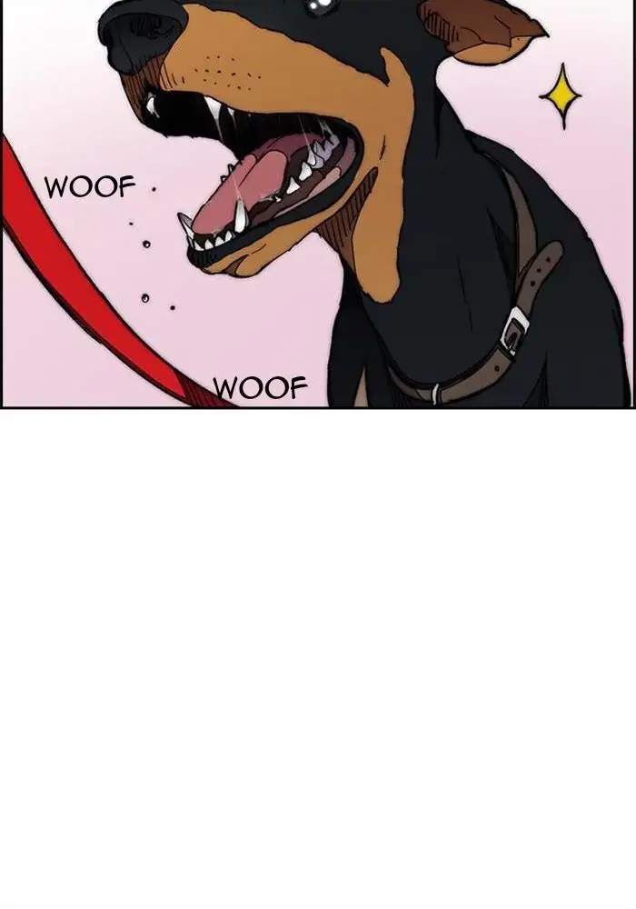 Wind Breaker Chapter 276 Gambar 42