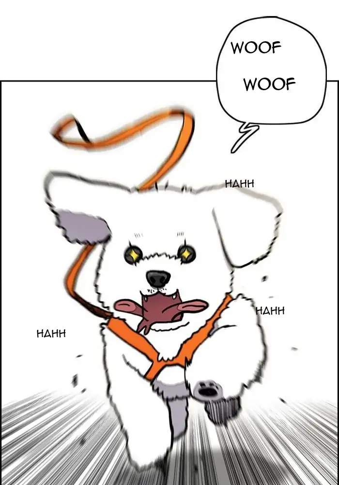 Wind Breaker Chapter 276 Gambar 63