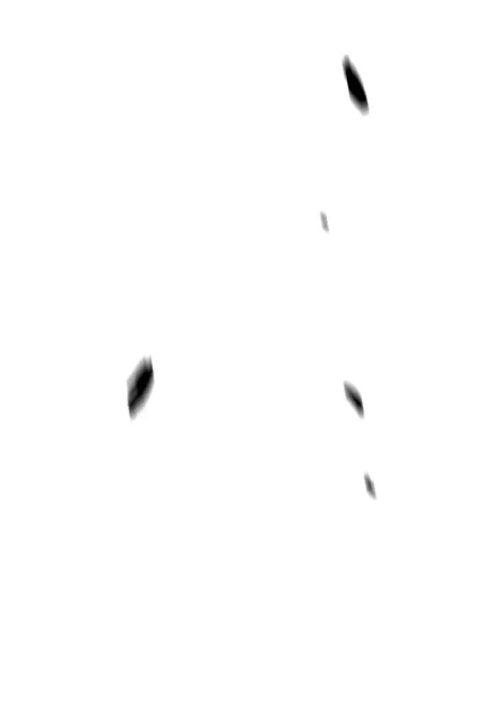 Wind Breaker Chapter 260 Gambar 119