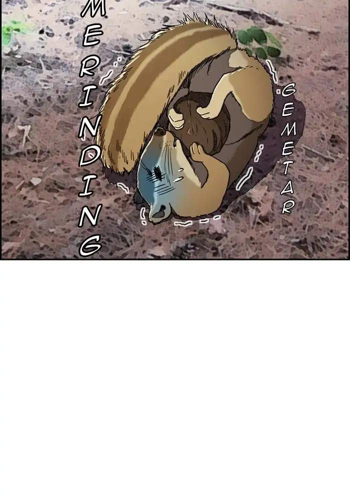 Wind Breaker Chapter 260 Gambar 36