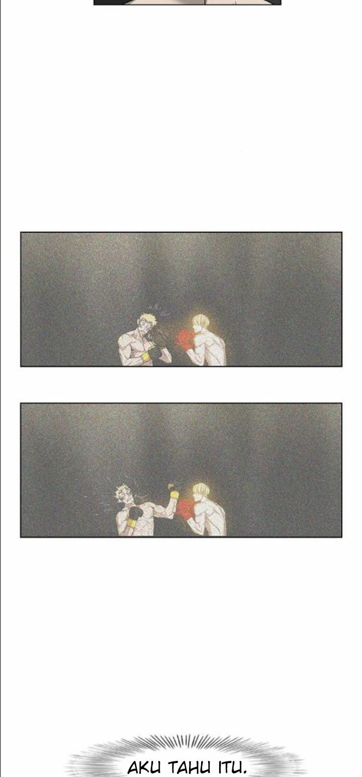 The Boxer Chapter 101 Gambar 4