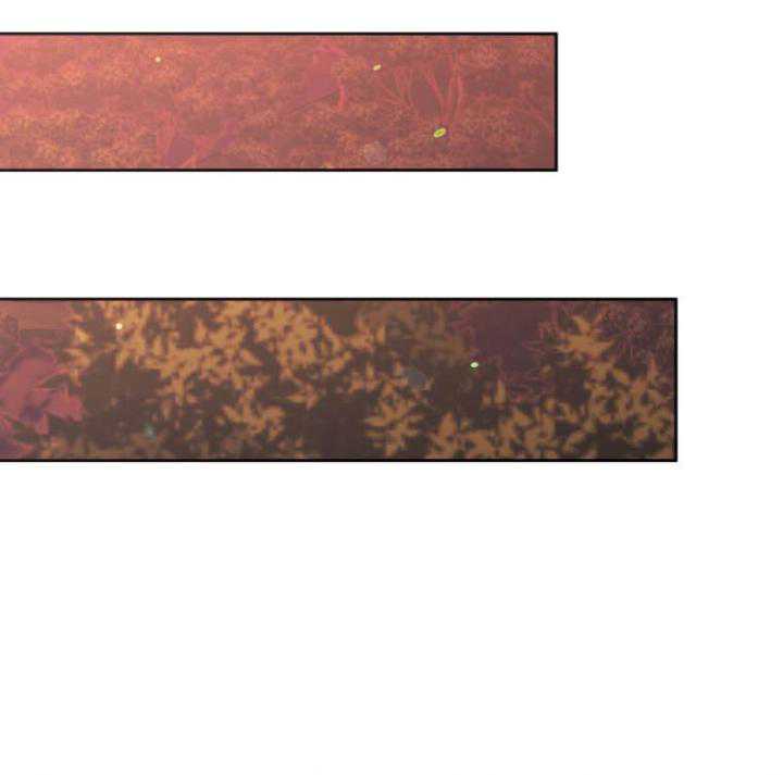 Player from Today Onwards Chapter 33 Gambar 25