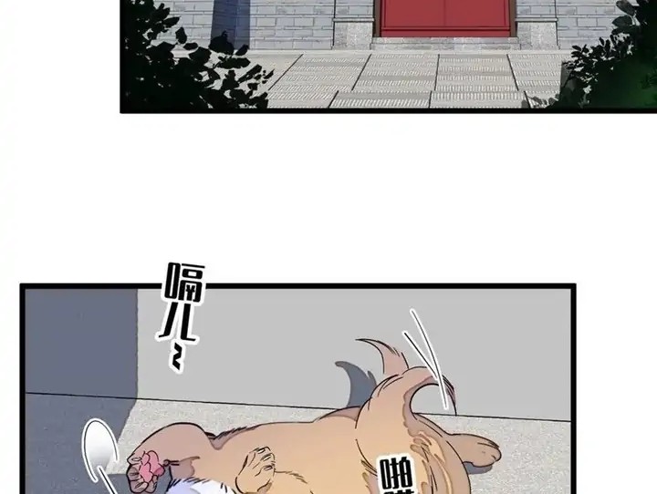 Sijin Chapter 197 Gambar 12