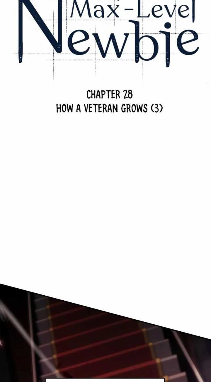 Solo Max-Level Newbie Chapter 28 Gambar 11