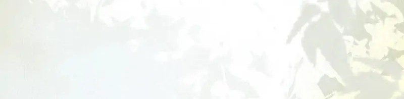 The Ghostly Doctor Chapter 452 Gambar 20