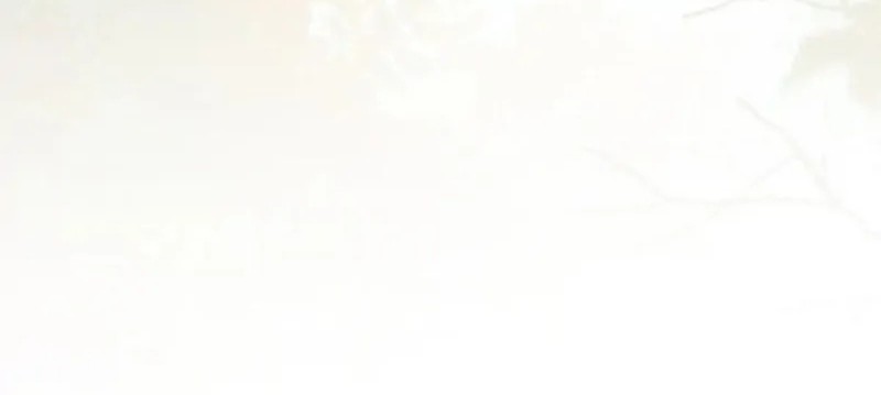 The Ghostly Doctor Chapter 453 Gambar 58