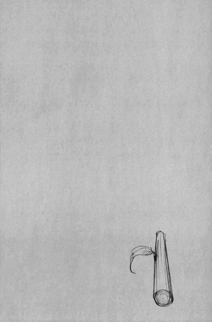 Vagabond Chapter 83 Gambar 21