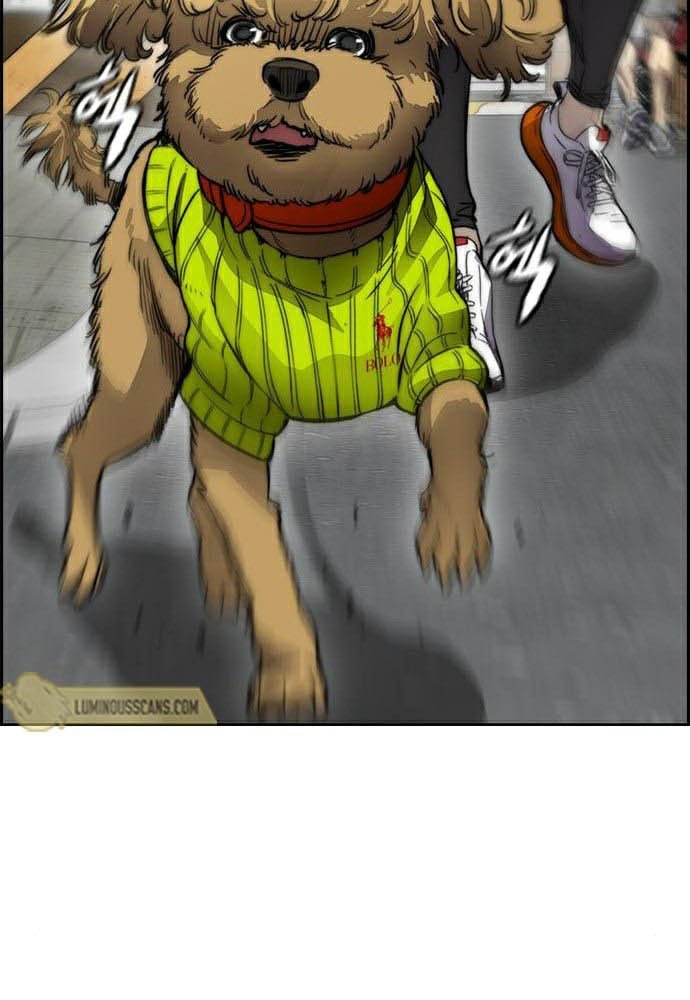 Wind Breaker Chapter 387 Gambar 39