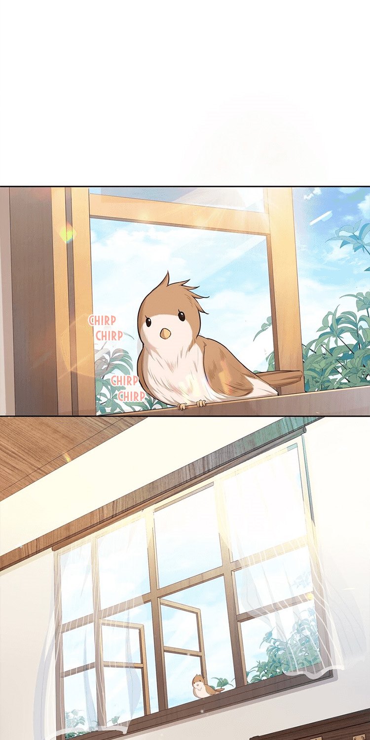 Please Bully Me, Miss Villainess! Chapter 07 Gambar 4