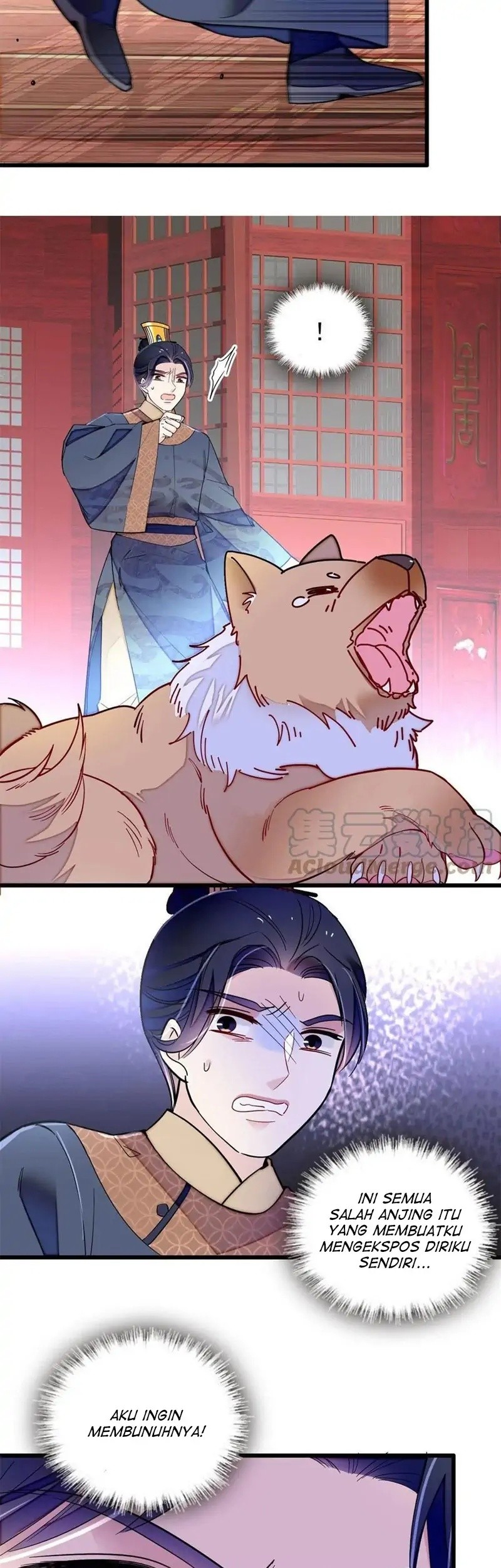 Sijin Chapter 247 Gambar 33